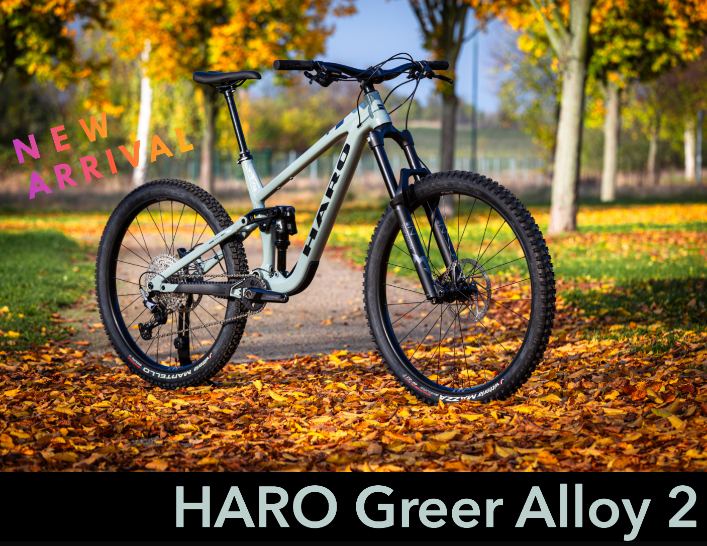 Haro Greer - der Enduro-Newcomer